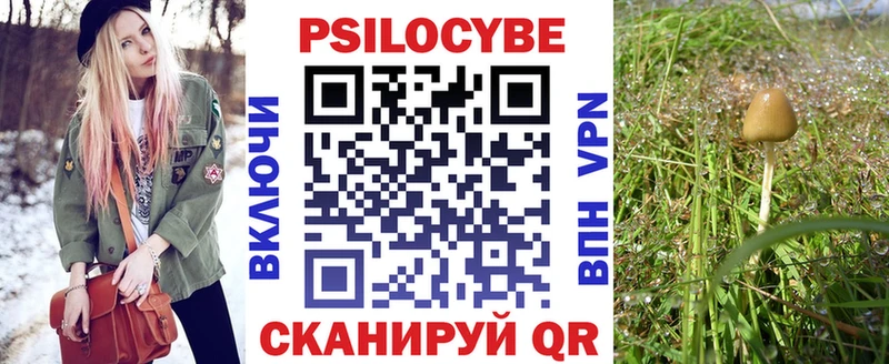 Галлюциногенные грибы прущие грибы  Шадринск 