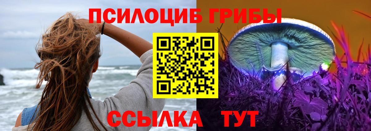 Галлюциногенные грибы Magic Shrooms  Псилоцибиновые грибы MAGIC MUSHROOMS  Вход с VPN  где купить наркоту  Шадринск 